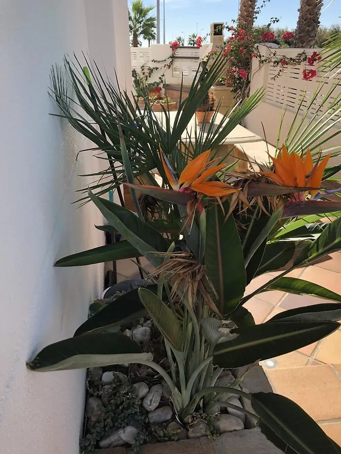 Villa Cinco Palmas Almerimar